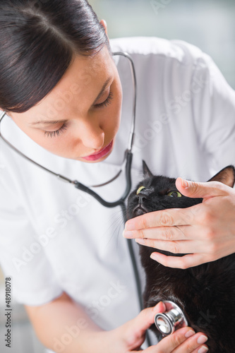 Photo: Veterinarian listening a cat while doing checkup at clinic Veterinarian listening a cat while doing checkup at clinic