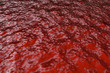 Blood - 3D Render