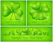 Clover leaves on green
