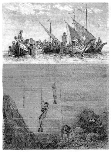 Illustration: Trad. Pearl Fisher - Pêcheurs de Perles Trad. Pearl Fisher - Pêcheurs de Perles