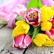Foto: Tulpen auf Holzuntergrund Tulpen auf Holzuntergrund