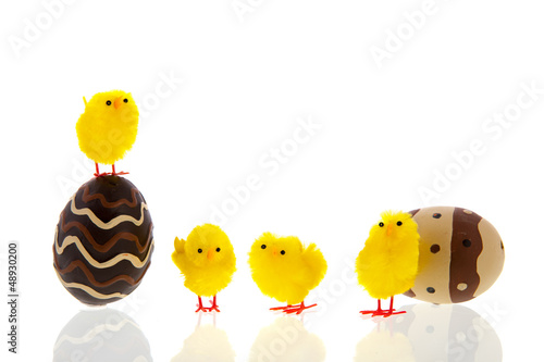 Photo: Chocolate eggs with chicks Chocolate eggs with chicks