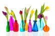 Photo: Colorful tulips in glass vases Colorful tulips in glass vases