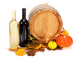 Autumn harvest