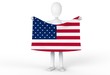 Flag of the USA