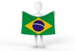 Brazilian Flag