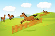 The four horses