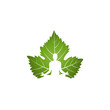 Yoga logo on green leaf