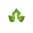 Vector: Yoga logo on green leaf Yoga logo on green leaf