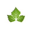 Vector: Yoga logo on green leaf Yoga logo on green leaf