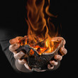 le feu