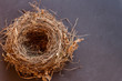 Vogelnest auf Schieferplatte