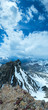 Alp flowers  over mountain precipice and clouds