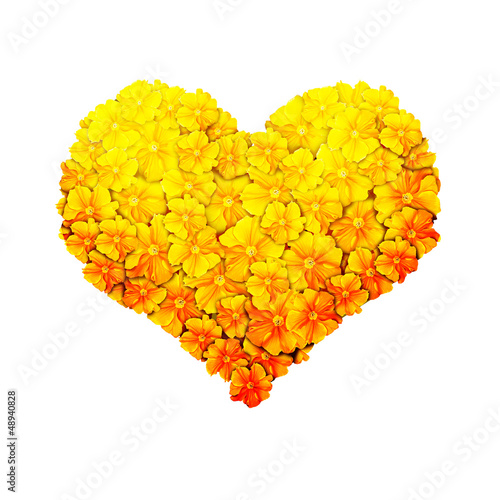 Photo: HEART OF FLOWERS HEART OF FLOWERS