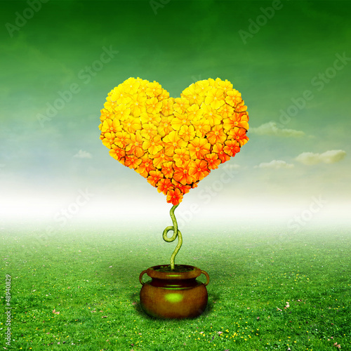 Photo: Heart tree Heart tree
