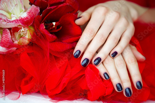Photo: Dark fingernails and beautiful red flowers Dark fingernails and beautiful red flowers