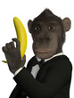 Mr.Monkey - "Banana Bond"