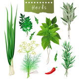 herbal bunches