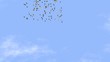 Video: Fallende Sterne im Himmel Fallende Sterne im Himmel