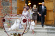 Two wedding doves as love symbol