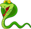 Cobra cartoon