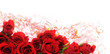 red roses