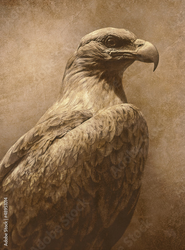 Photo: vintage eagle photo vintage eagle photo