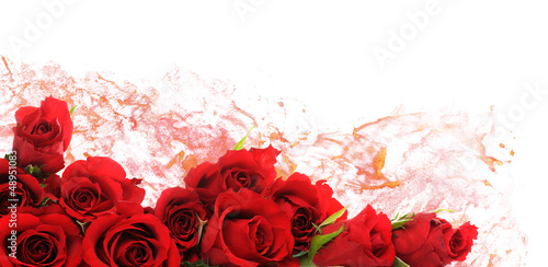 Photo: red roses red roses