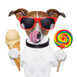sugar doggy