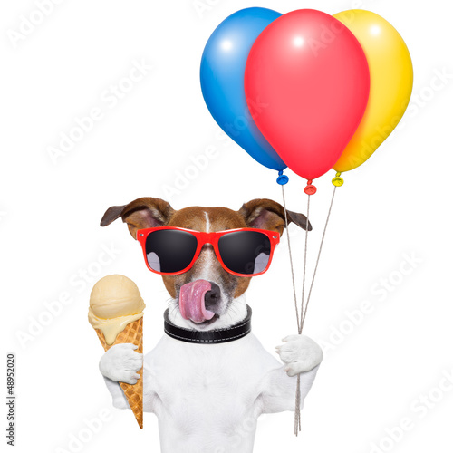 Photo: dog with ice cream dog with ice cream