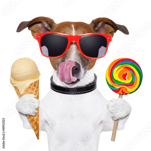 Photo: sugar doggy sugar doggy
