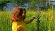 Video: little girl and butterfly on flower little girl and butterfly on flower