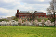 Smithsonian Institute