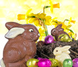 Frohes Ostern: Osternest mit Schokohasen