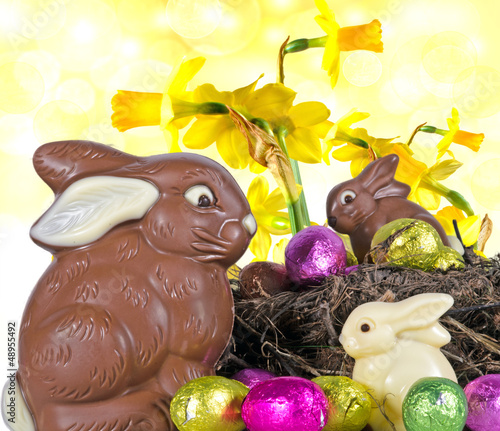 Photo: Frohes Ostern: Osternest mit Schokohasen Frohes Ostern: Osternest mit Schokohasen