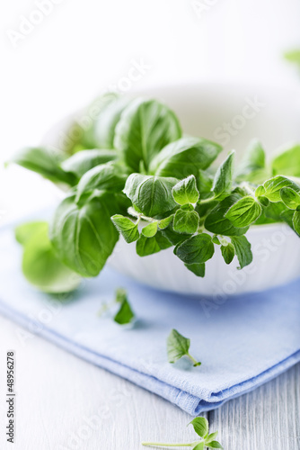 Photo: Fresh basil and oregano in a bowl Fresh basil and oregano in a bowl