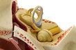 Anatomie des Ohres
