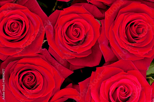 Photo: Background of red roses in closeup Background of red roses in closeup