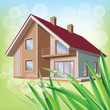 Beautiful eco house