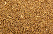 caraway
