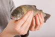 Ein Mann hat einen Fisch in der Hand