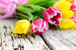 Foto: Tulpen auf altem Holz Tulpen auf altem Holz