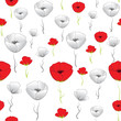 Vector: Poppy background Poppy background
