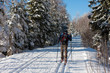 Langlaufen im verschneiten Bayerischen Wald