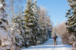 Winter im Bayerischen Wald