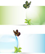 Set of nature banners