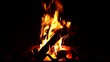 Video: wood on fire wood on fire