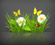 Spring grass
