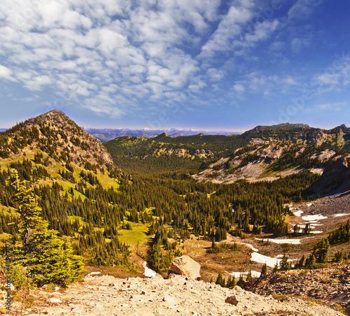 Photo: A beautiful view near sunrise Point , Mt Rainier A beautiful view near sunrise Point , Mt Rainier