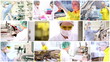Pharmaceutical Workers